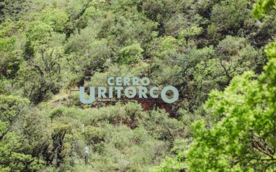 Rellenos Faciales en Córdoba: La Ciencia Detrás de la Renovación Natural